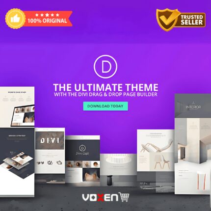 Divi WordPress Theme With Original Api Key